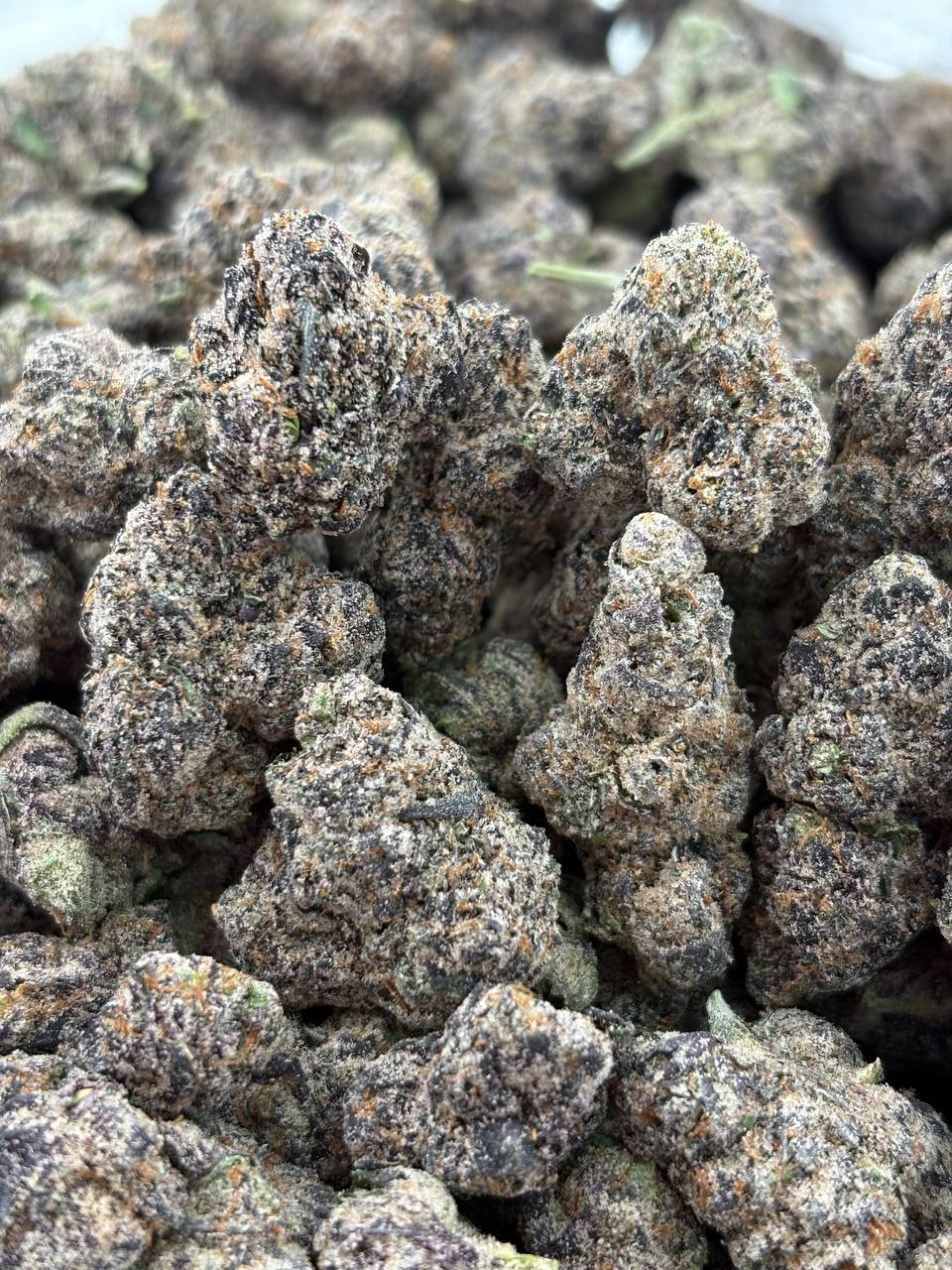 Durban Biscotti ☠️🔥