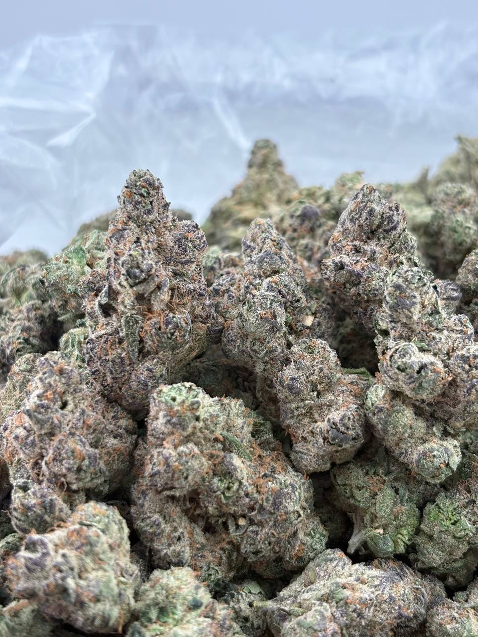 Super Soaker 🔫🍬