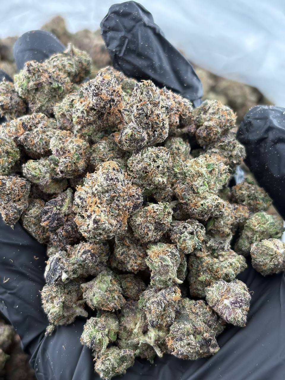 JAW BREAKERS 🥶🍬